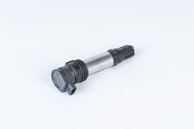 Ignition Coil BorgWarner (BERU) ZSE256