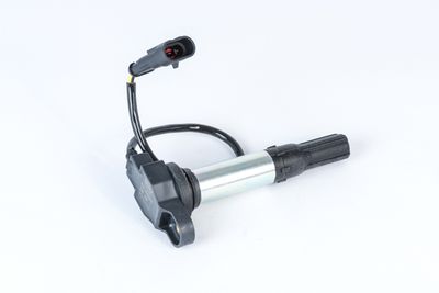 Ignition Coil BorgWarner (BERU) ZSE258