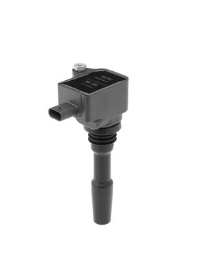 Ignition Coil BorgWarner (BERU) ZSE259