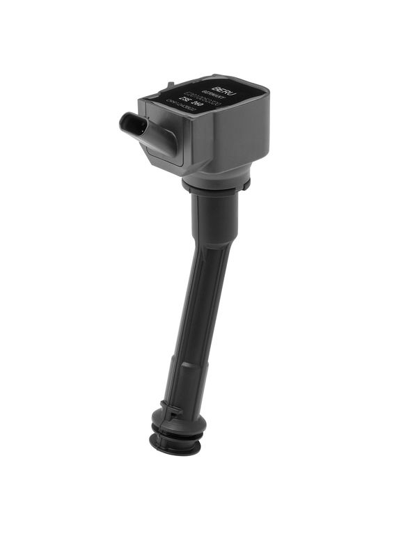 BorgWarner (BERU) ZSE260 Ignition Coil