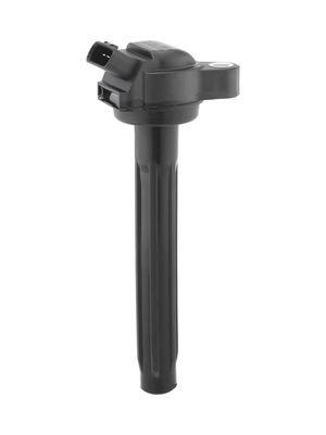 Ignition Coil BorgWarner (BERU) ZSE261