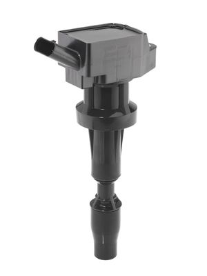 Ignition Coil BorgWarner (BERU) ZSE262