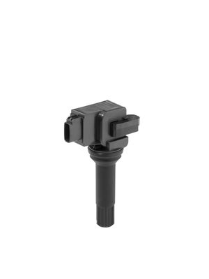 Ignition Coil BorgWarner (BERU) ZSE290