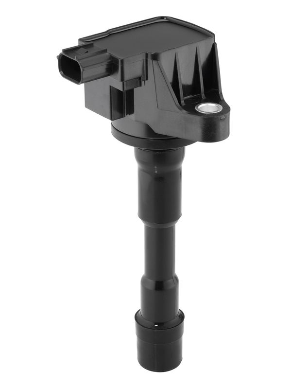 BorgWarner (BERU) ZSE291 Ignition Coil
