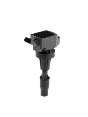 Ignition Coil BorgWarner (BERU) ZSE301