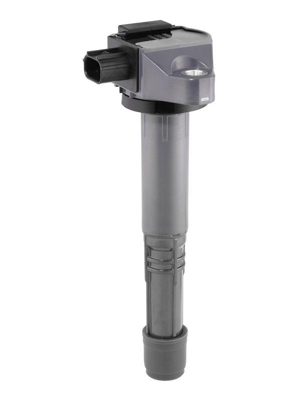 BorgWarner (BERU) ZSE308 Ignition Coil