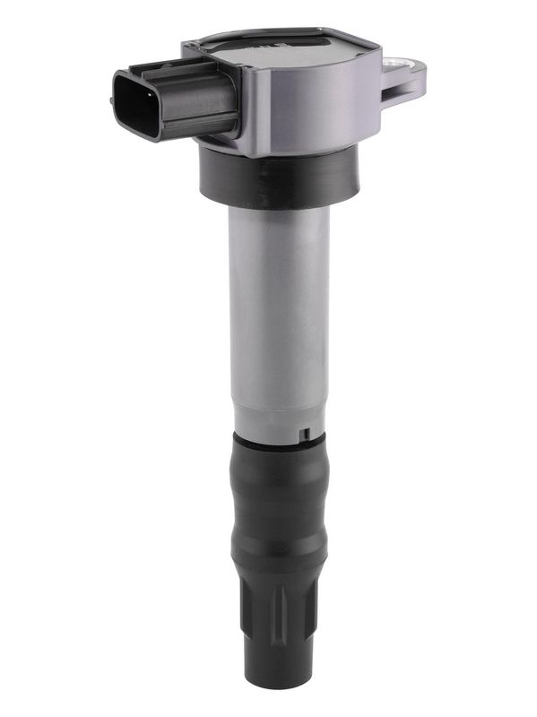 BorgWarner (BERU) ZSE310 Ignition Coil