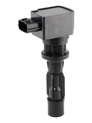 Ignition Coil BorgWarner (BERU) ZSE311