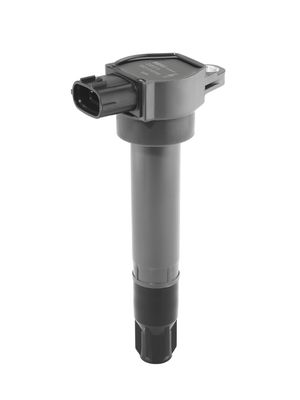 Ignition Coil BorgWarner (BERU) ZSE315
