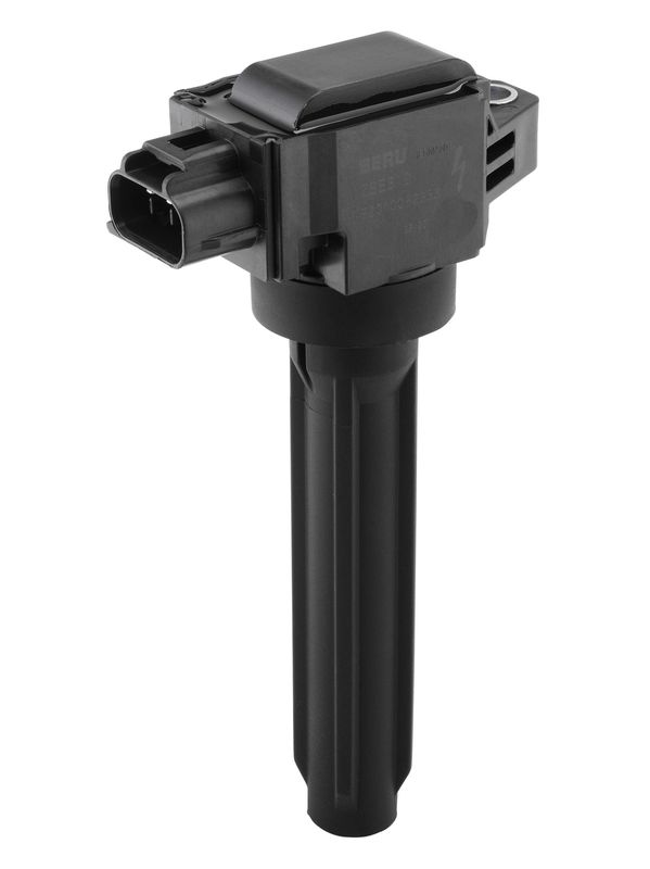 BorgWarner (BERU) ZSE319 Ignition Coil