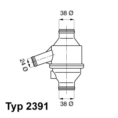 BorgWarner (Wahler) 2391.75 Thermostat, coolant