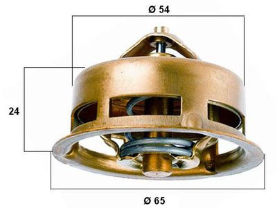 Thermostat, coolant BorgWarner (Wahler) 3096.75