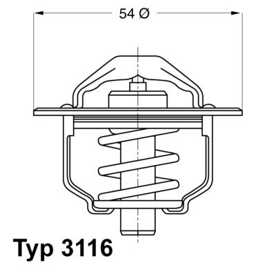 Thermostat, coolant BorgWarner (Wahler) 3116.82D