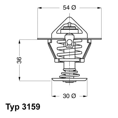 Thermostat, coolant BorgWarner (Wahler) 3159.82D