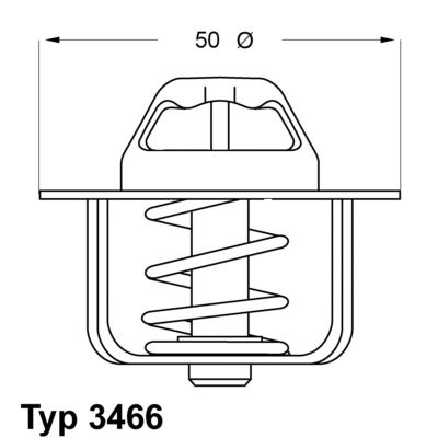 BorgWarner (Wahler) 3466.89D Thermostat, coolant