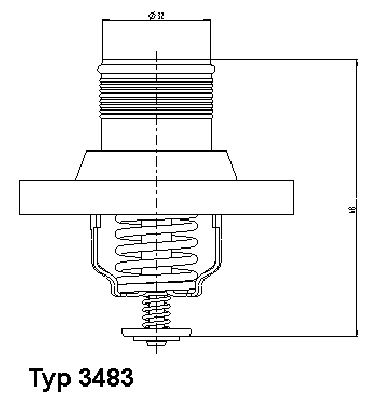 BorgWarner (Wahler) 3483.89D Thermostat, coolant