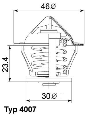 BorgWarner (Wahler) 4007.80D Thermostat, coolant