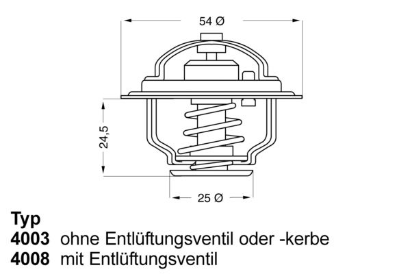 BorgWarner (Wahler) 4008.79D Thermostat, coolant