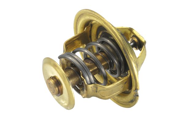 BorgWarner (Wahler) 4026.89 Thermostat, coolant