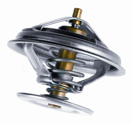 BorgWarner (Wahler) 4030.80 Thermostat, coolant