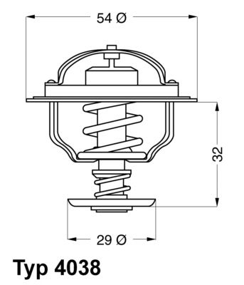BorgWarner (Wahler) 4038.81D Thermostat, coolant