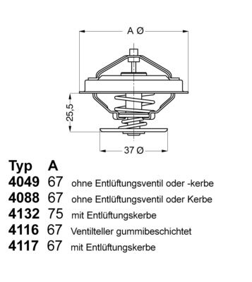 BorgWarner (Wahler) 4049.80D1 Thermostat, coolant