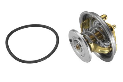 Thermostat, coolant BorgWarner (Wahler) 4064.75D