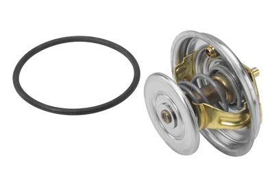 Thermostat, coolant BorgWarner (Wahler) 4078.65D