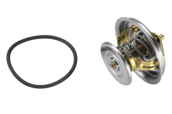 BorgWarner (Wahler) 4078.75D Thermostat, coolant
