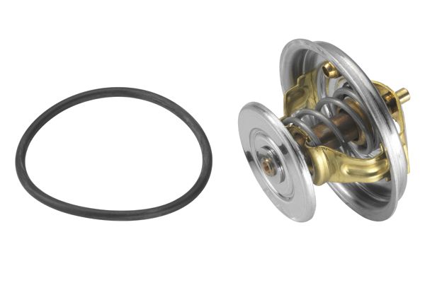 BorgWarner (Wahler) 4078.79D Thermostat, coolant