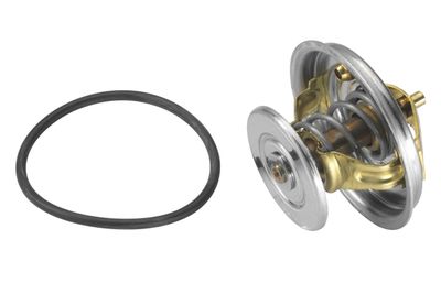 Thermostat, coolant BorgWarner (Wahler) 4078.79D