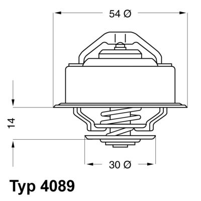 Thermostat, coolant BorgWarner (Wahler) 4089.87D