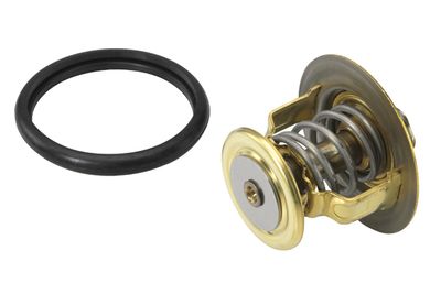 Thermostat, coolant BorgWarner (Wahler) 410131.88D