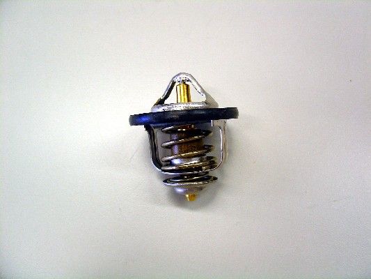 BorgWarner (Wahler) 410179.84D Thermostat, coolant