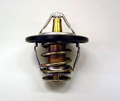 Thermostat, coolant BorgWarner (Wahler) 410181.82D