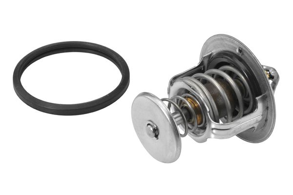 BorgWarner (Wahler) 410201.80D Thermostat, coolant