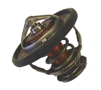 Thermostat, coolant BorgWarner (Wahler) 410231.82D