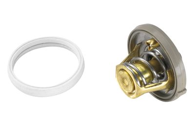 Thermostat, coolant BorgWarner (Wahler) 410262.91D