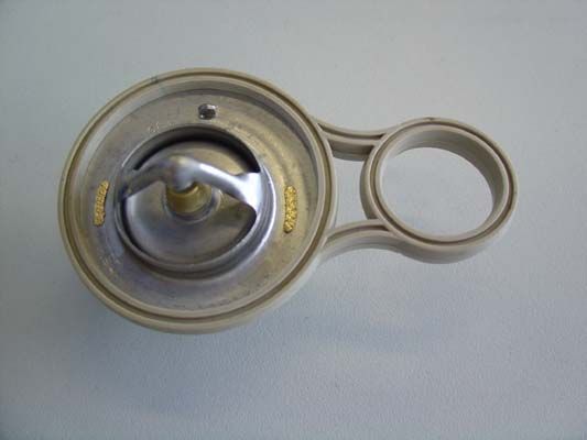 BorgWarner (Wahler) 410263.91D Thermostat, coolant