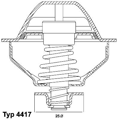 Thermostat, coolant BorgWarner (Wahler) 410289.81D