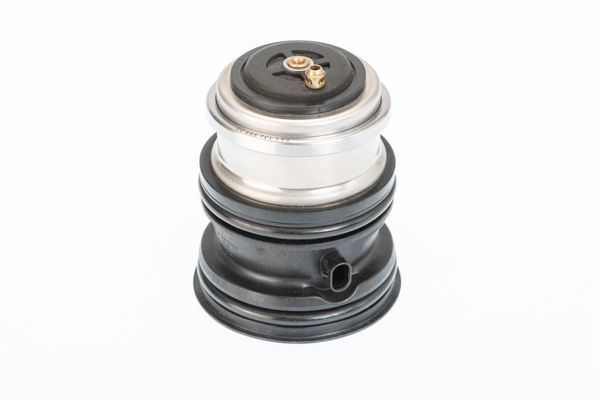 BorgWarner (Wahler) 410448.107D Thermostat, coolant