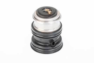 Thermostat, coolant BorgWarner (Wahler) 410448.107D