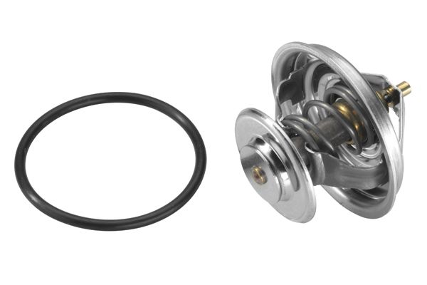 BorgWarner (Wahler) 4105.65D Thermostat, coolant