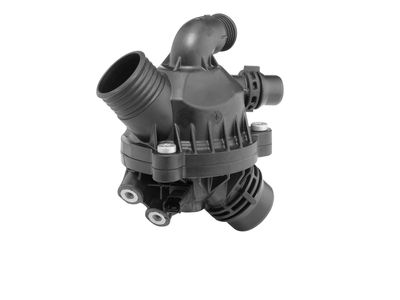 Thermostat, coolant BorgWarner (Wahler) 410766.103D0