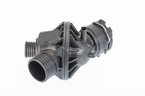 BorgWarner (Wahler) 410795.103D Thermostat, coolant