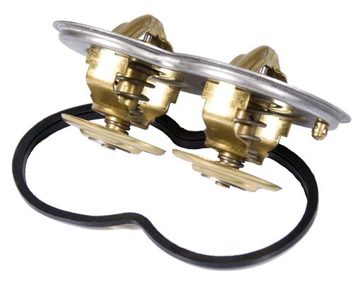 BorgWarner (Wahler) 411004.80D Thermostat, coolant