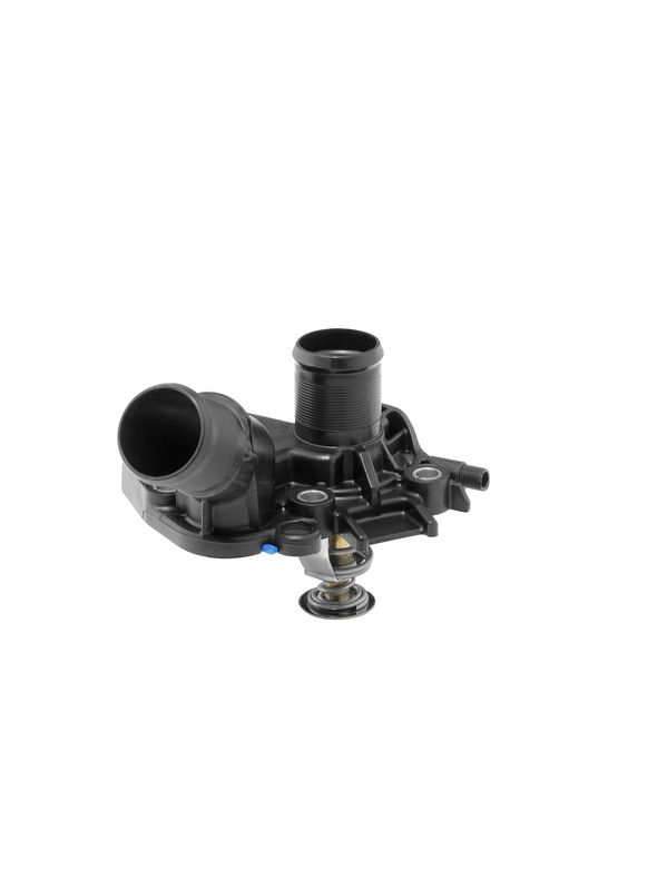 BorgWarner (Wahler) 411025.89D Thermostat, coolant