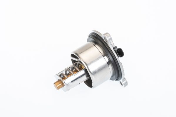BorgWarner (Wahler) 411076.104D Thermostat, coolant