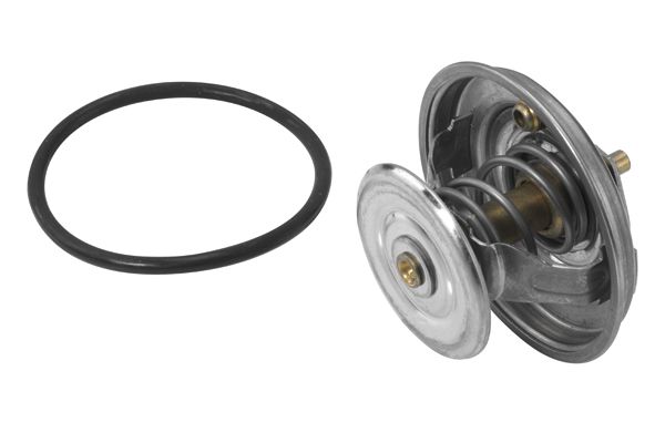 BorgWarner (Wahler) 4112.79D Thermostat, coolant