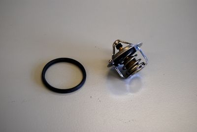 Thermostat, coolant BorgWarner (Wahler) 411241.82D